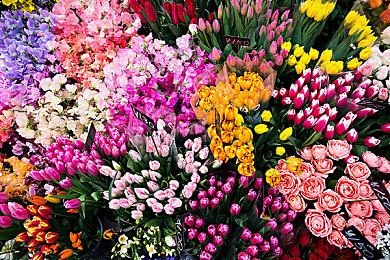 《太空工程师》PS5＆PS4版5月11日开始Beta公测